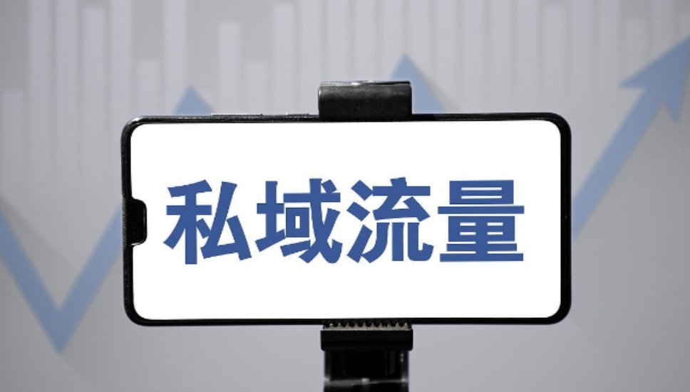 私域爆单陪跑营2期视频