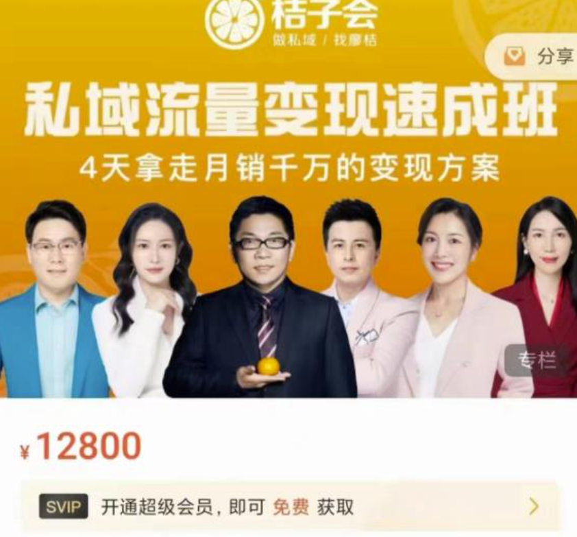 桔子会私域流量变现速成班