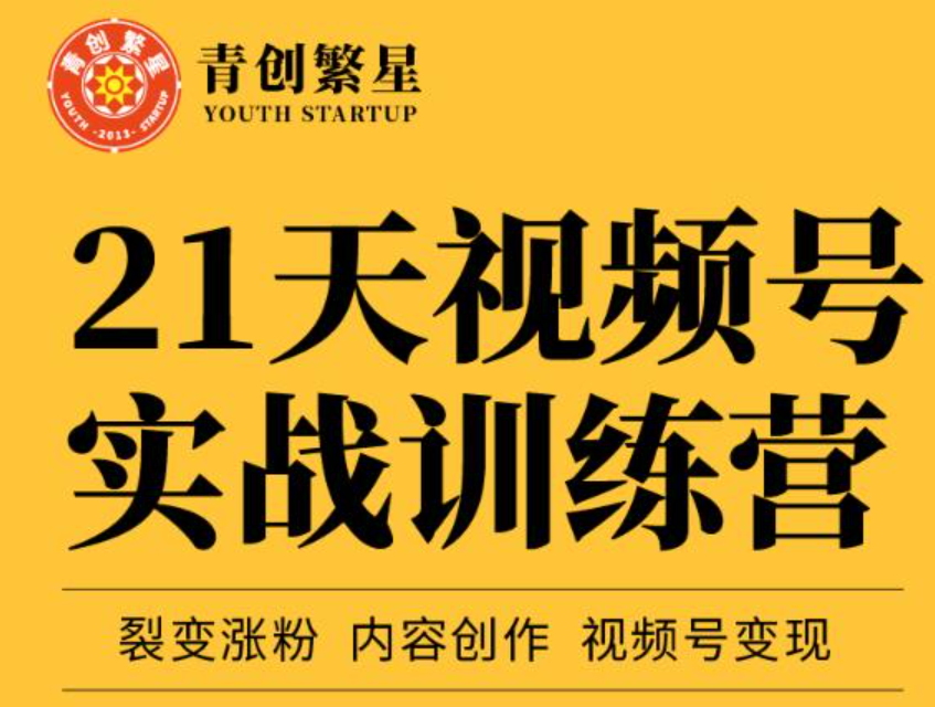 张萌21天视频号实战训练营视频