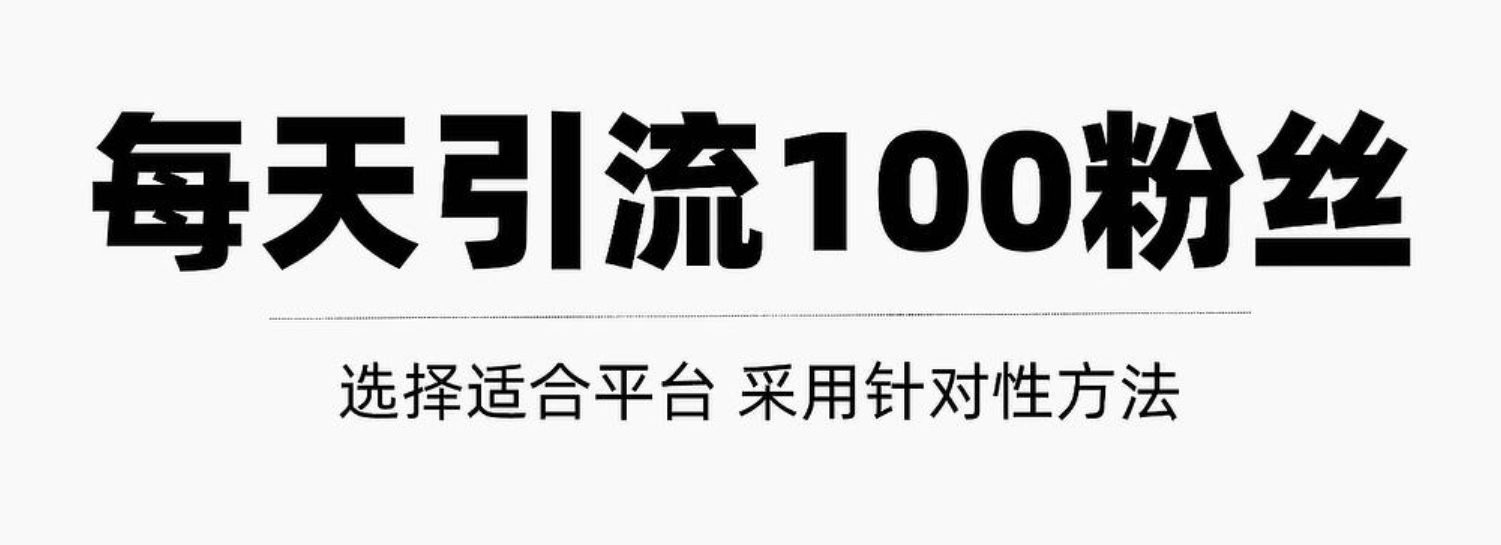 每天轻松获得100+精准粉丝的方法