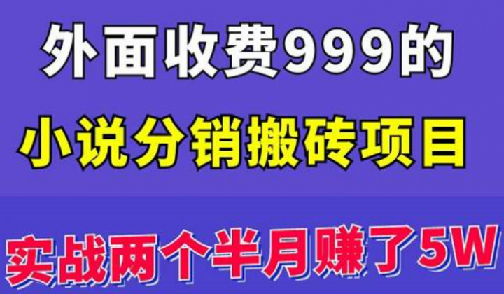 小说分销搬砖项目：实战两个半月赚了5W块，操作简单