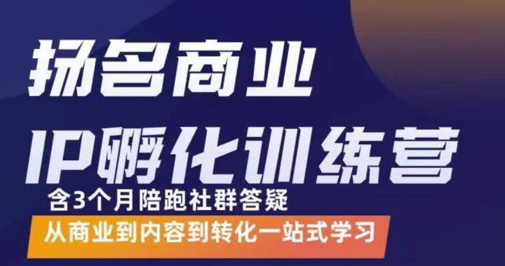 杨名商业IP孵化训练营，从商业到内容到转化一站式学