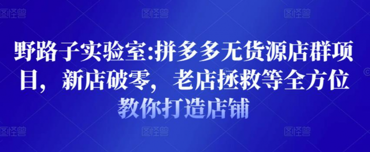 野路子实验室:拼多多无货源店群项目