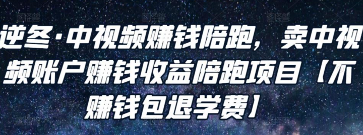 逆冬中视频赚钱陪跑，卖中视频账户赚钱收益陪跑项目