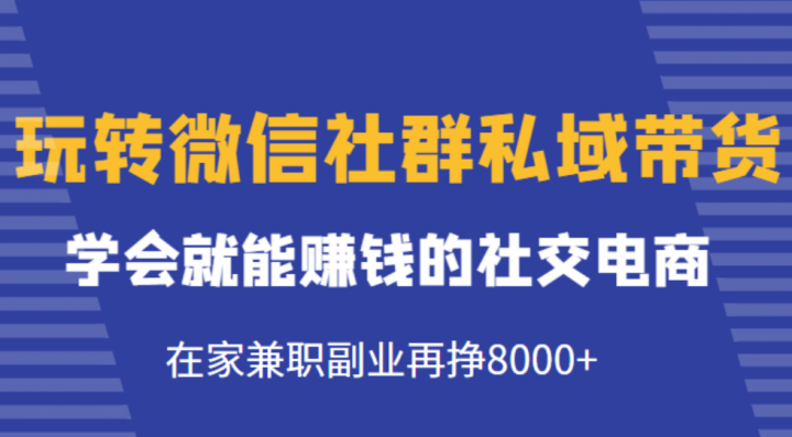 学会就能赚钱的社交电商，在家兼职副业再挣8000+