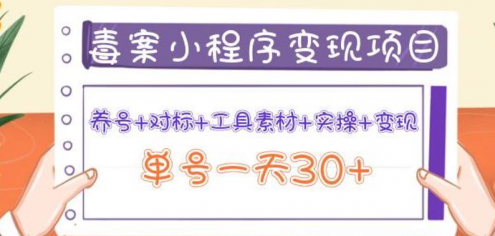毒案小程序变现项目：养号+对标+工具素材+实操+变现