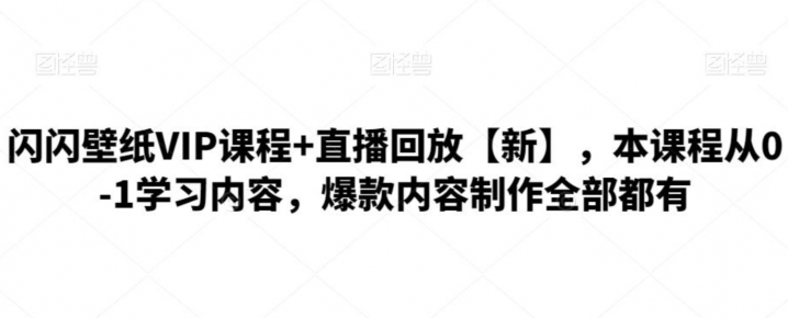 闪闪壁纸VIP课程+直播回放【新】