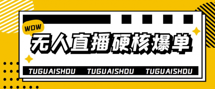 无人直播硬核爆单技术，轻松玩转无人直播，暴利躺赚