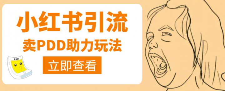 利用小红书卖拼多多助力，日赚100+