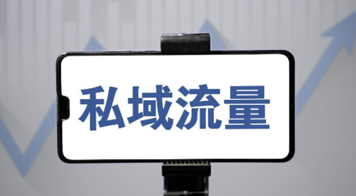 一套全新的“公域引流，私域成交”IP打法