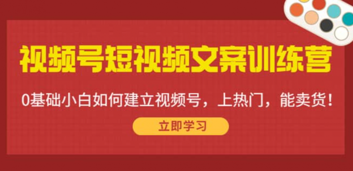 视频号短视频文案训练营：0基础小白如何建立视频号，上热门，能卖货！
