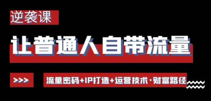 让普通人自带流量的逆袭课：流量密码 IP打造 运营技术·财富路径