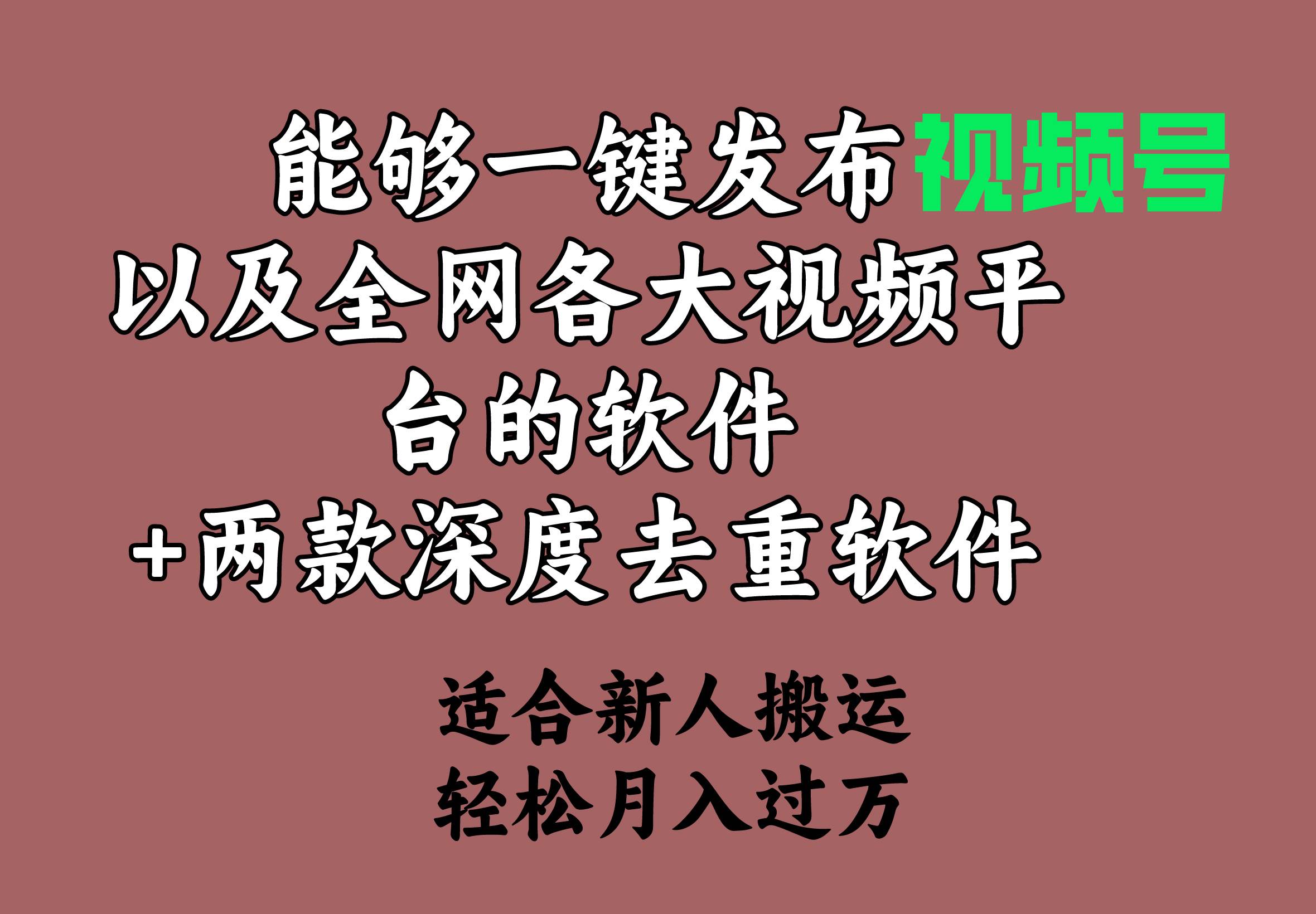 能够一键发布视频号以及全网各大视频平台的软件+两款深度去重软件 适合新人搬运，轻松月入过万