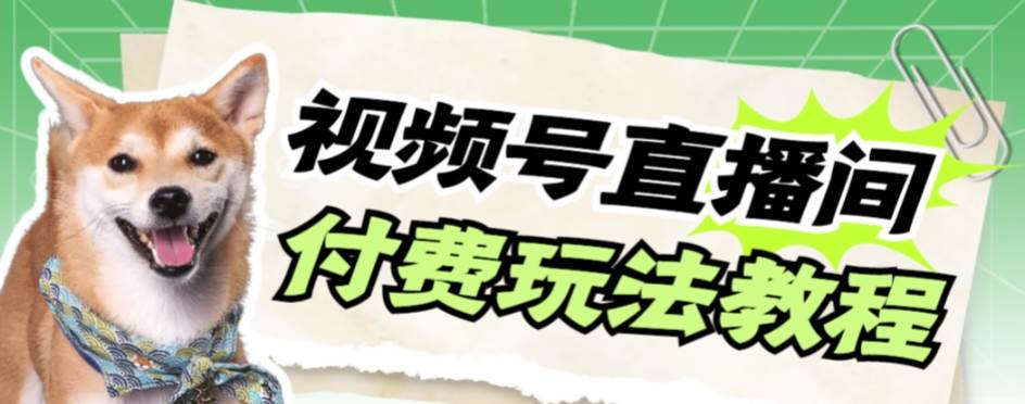 视频号美女付费无人直播，轻松日入500 【详细玩法】